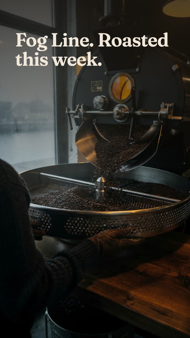 Harbor Roast: a 15-second 9:16 ad for a new roast, shot_02: Fog Line. Roasted this week.