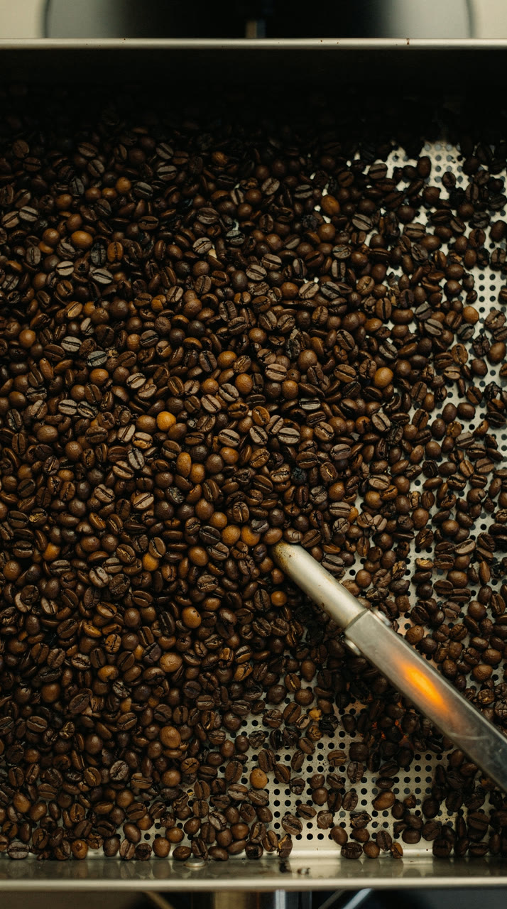 shot_03: hero